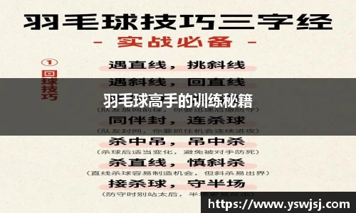 羽毛球高手的训练秘籍